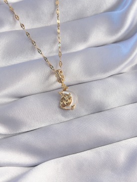 Erb 316L Çelik Zincir Gold Renk Zirkon Taşlı Sedefli Ay Figürlü Kolye