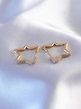 Erb Gold Renk Zirkon Taşlı Yıldız Model Kadın Küpe