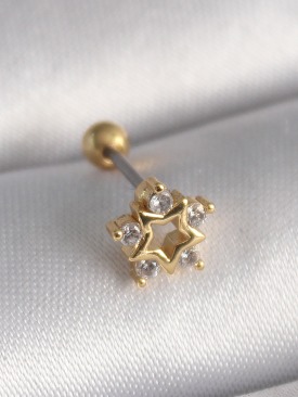 Erb 316L Çelik Gold Renk Zirkon Taşlı Yıldız Model Tragus Piercing