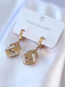 Erb 316L Çelik Gold Renk Zirkon Taşlı Kadın Küpe