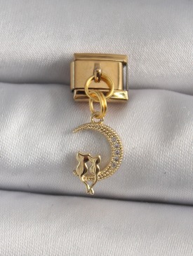 Erb 316L Çelik Gold Renk Zirkon Taşlı Hilal Model Kedi Detay Nomination Charm