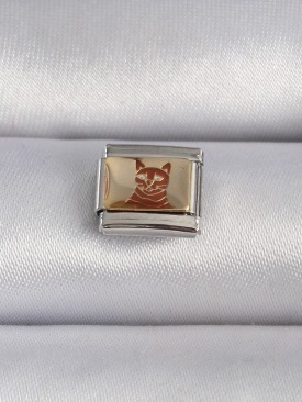 Erb 316L Çelik Gümüş Renk Gold Renk Kedi İşlemeli Nomination Charm
