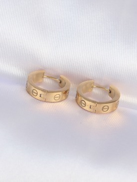 Erb 316L Çelik Gold Renk Model Halka Küpe