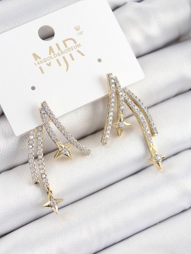 Erb Pirinç Zirkon Taşlı Kayan Yıldız Model Gold Ve Gümüş Renk Kadın Küpe