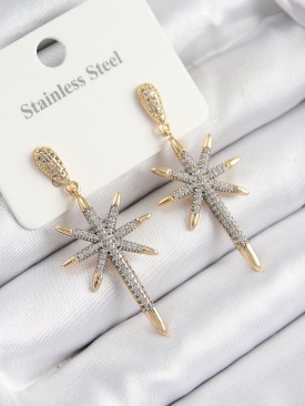 Erb 316L Çelik Zirkon Taşlı Pusula Yıldızı Model Gold Ve Gümüş Renk Kadın Küpe