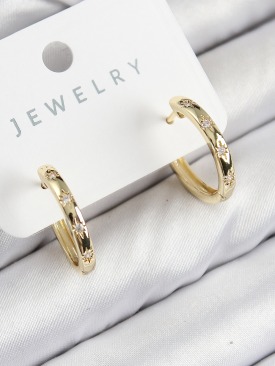 Erb Pirinç Zirkon Taşlı Halka Model Gold Renk Kadın Küpe