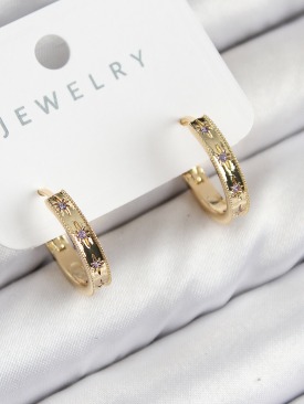 Erb Pirinç Zirkon Taşlı Halka Model Gold Renk Kadın Küpe
