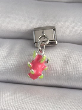 Erb 316L Çelik Gümüş Renk Sallantı Ejder Meyvesi Model Nomination Charm