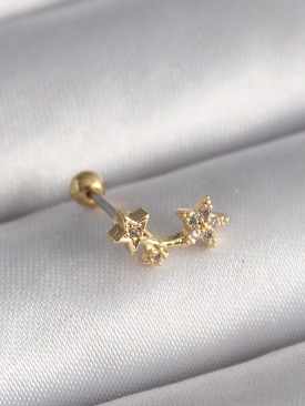 Erb 316L Çelik Gold Renk Zirkon Taşlı Kalp Tragus Piercing